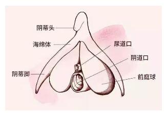 c點(diǎn)的準(zhǔn)確位置怎么找到