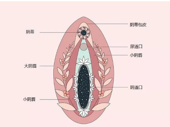 c點(diǎn)的準(zhǔn)確位置怎么找到